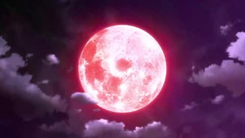 Selene G  online show from 05-15-26, 02:51