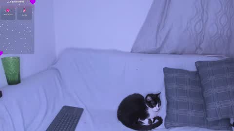Selene Noire online show from 07-27-26, 11:23