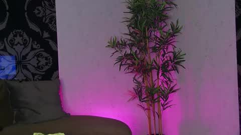 Snapshot of selennadream chatting on 05-13-26, 02:25 SelenaDream online show from 05-13-26, 02:25