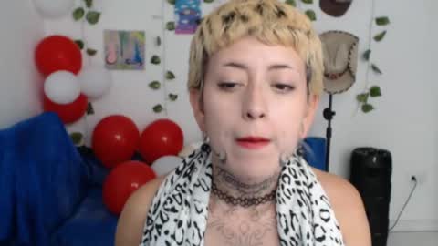Snapshot of seley222 chatting on 05-11-26, 04:04 Ask me online show from 05-11-26, 04:04