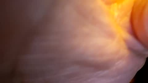 Snapshot of senor49509 chatting on 11-27-25, 02:02 senor49509 online show from 11-27-25, 02:02