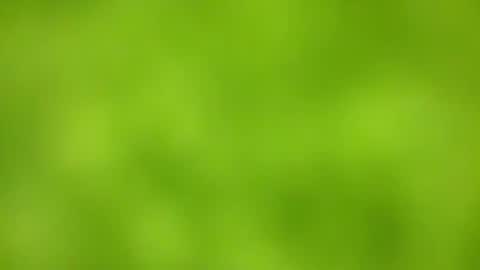 sens3439 online show from 11-24-25, 08:36