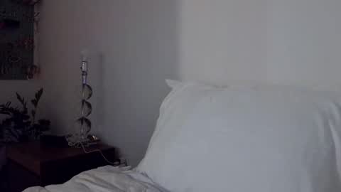 Cam online show from 11-29-25, 01:08