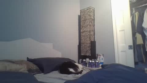 sensualcock4you online show from 12-20-25, 02:24