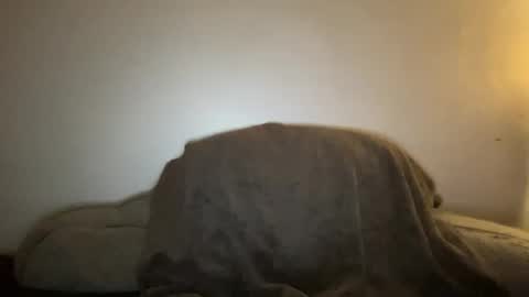 Snapshot of seroc12345 chatting on 01-19-25, 02:47 Seroc online show from 01-19-25, 02:47