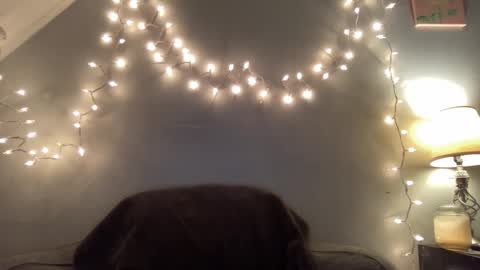 Snapshot of seroc12345 chatting on 03-09-25, 11:46 Seroc online show from 03-09-25, 11:46