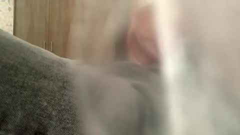 serpenttiin online show from 09-23-25, 07:55