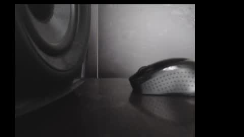 Daniel Taylor online show from 11-15-25, 12:23