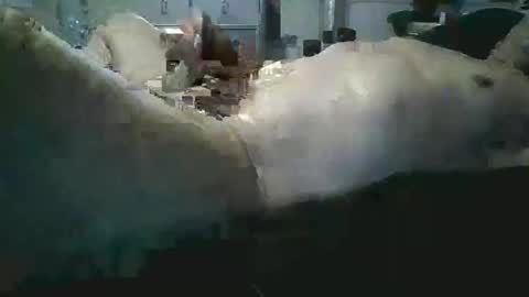 Snapshot of sexboy1437 chatting on 11-24-25, 10:15 sexboy1437 online show from 11-24-25, 10:15