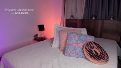 Snapshot of sexicanela99 chatting on 12-11-24, 01:49 ... Camila ... online show from 12-11-24, 01:49