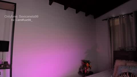 Snapshot of sexicanela99 chatting on 12-30-24, 04:40 ... Camila ... online show from 12-30-24, 04:40