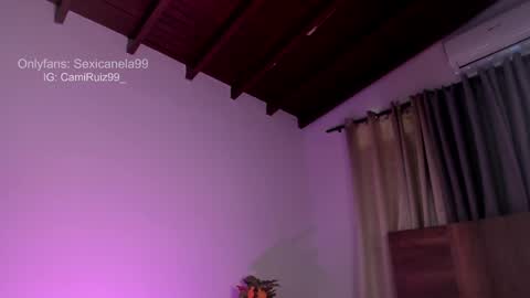 Snapshot of sexicanela99 chatting on 01-08-25, 04:11 ... Camila ... online show from 01-08-25, 04:11