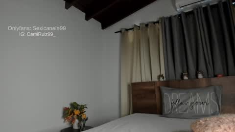 Snapshot of sexicanela99 chatting on 01-28-25, 04:52 ... Camila ... online show from 01-28-25, 04:52