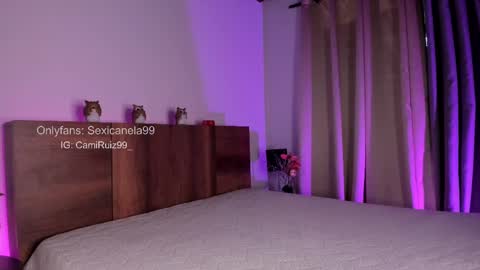 Snapshot of sexicanela99 chatting on 02-14-25, 04:09 ... Camila ... online show from 02-14-25, 04:09