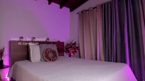 Snapshot of sexicanela99 chatting on 02-19-25, 01:17 ... Camila ... online show from 02-19-25, 01:17