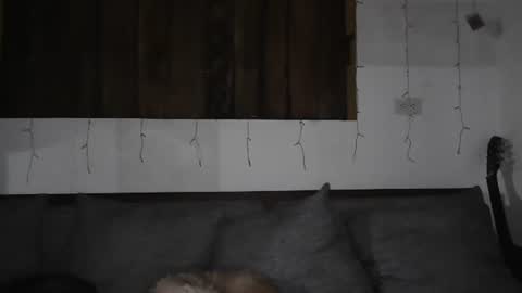 Snapshot of sexnchocolate chatting on 01-11-25, 05:41 Trixy Rose online show from 01-11-25, 05:41