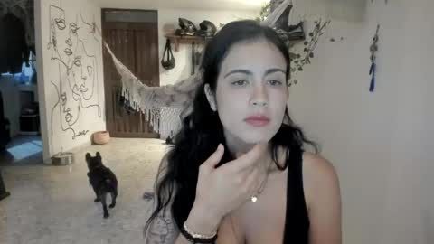         online show from 05-13-26, 10:56