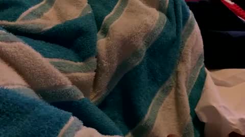 Snapshot of sexplorer54321 chatting on 02-03-25, 01:30 Sexplorer54321 online show from 02-03-25, 01:30