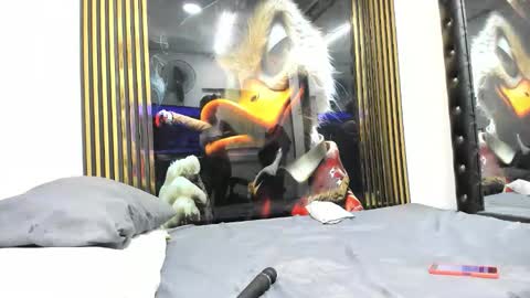 sexy78michell online show from 02-14-26, 02:19