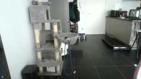 sexy53 online show from 02-17-26, 10:45