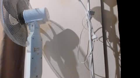 Alice online show from 09-20-25, 11:06