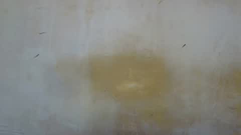 sexy_candy9 online show from 11-12-25, 08:59