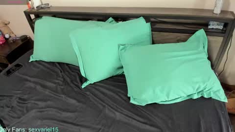 Snapshot of sexyariel15 chatting on 05-29-26, 03:32 SexyAriel15 online show from 05-29-26, 03:32