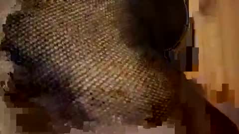 Snapshot of sexycplluv chatting on 11-09-25, 11:25 Forever Erotica online show from 11-09-25, 11:25