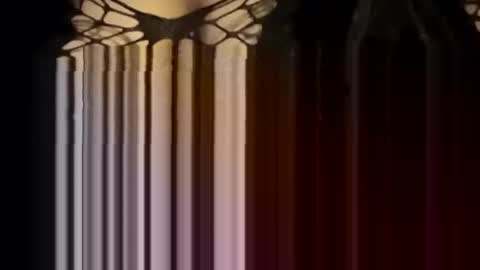 Snapshot of sexycplluv chatting on 01-12-26, 04:23 Forever Erotica online show from 01-12-26, 04:23