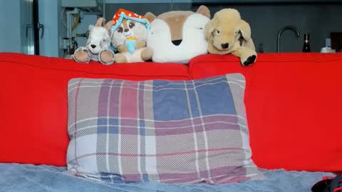 Ari online show from 10-05-25, 05:33