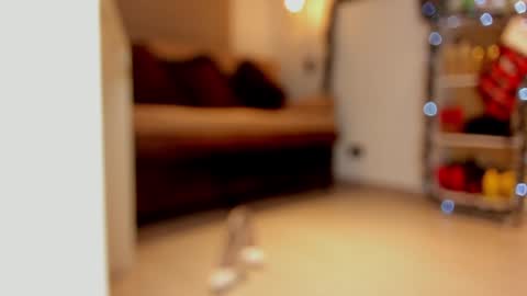 katalina larson online show from 12-29-24, 06:03