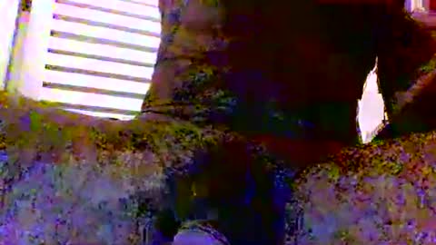 sexynudistdaddycockm online show from 11-24-25, 05:51