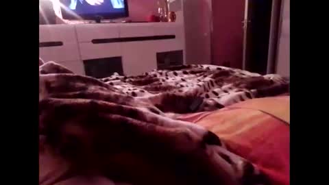 sexypairjuly online show from 11-04-25, 11:15