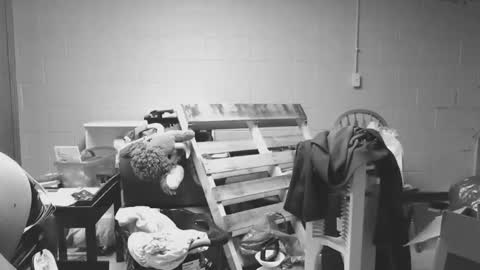 sexyshavenboi online show from 01-17-26, 12:54