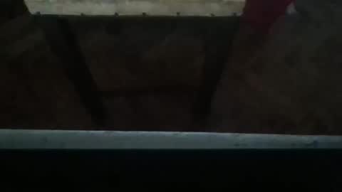 Snapshot of sexyyphilip chatting on 03-12-25, 02:52 sexyyphilip online show from 03-12-25, 02:52