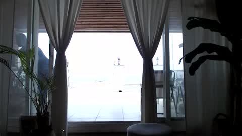 Arda online show from 04-11-26, 11:14