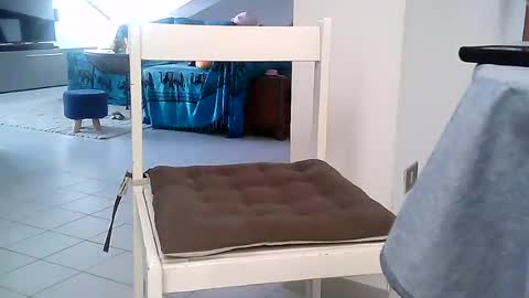 sexzob_81 online show from 07-28-26, 05:25