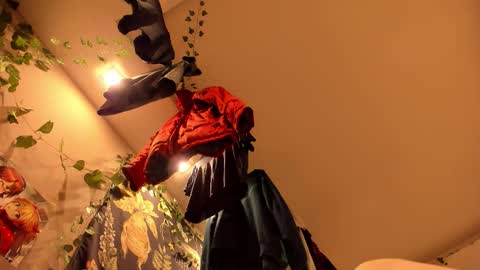 shadow_raffi online show from 11-07-25, 03:50