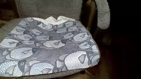 shamain1922 online show from 01-28-25, 09:19