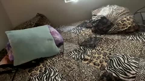 Shaman Woman online show from 12-06-24, 11:57