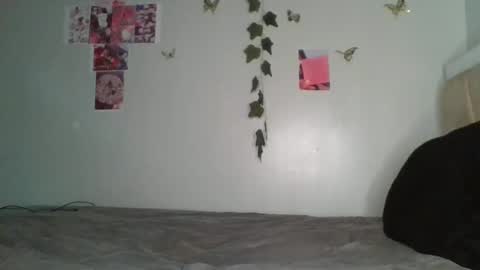 Snapshot of shana22222 chatting on 05-09-26, 07:19 shana22222 online show from 05-09-26, 07:19