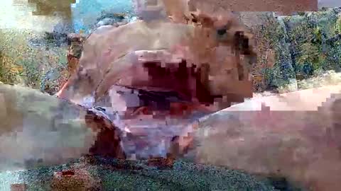 Snapshot of shaomy711 chatting on 10-26-25, 07:14 excelo21 online show from 10-26-25, 07:14