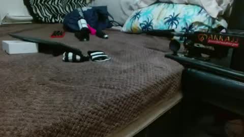 Snapshot of sharlot03 chatting on 02-12-25, 10:56 sharlot03 online show from 02-12-25, 10:56