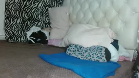 Snapshot of sharlot03 chatting on 03-11-25, 12:28 sharlot03 online show from 03-11-25, 12:28