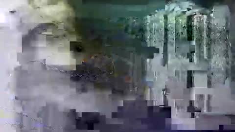 Shashee870242 online show from 02-14-25, 05:25