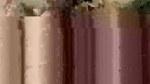 Snapshot of sheablo33 chatting on 12-17-25, 02:39 sheablo33 online show from 12-17-25, 02:39