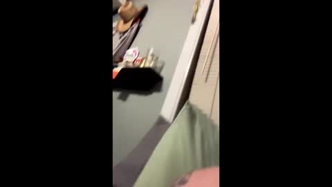 sheepydoggy45 online show from 01-02-25, 09:39