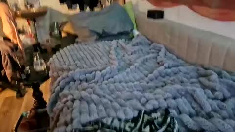 sheilasub online show from 12-16-25, 11:48