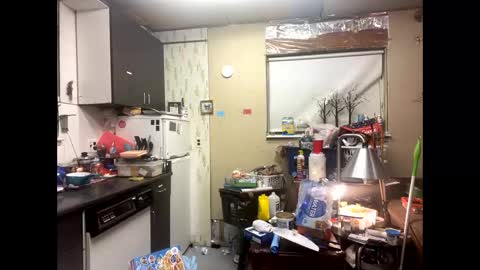 Shelby holes online show from 12-09-24, 08:00