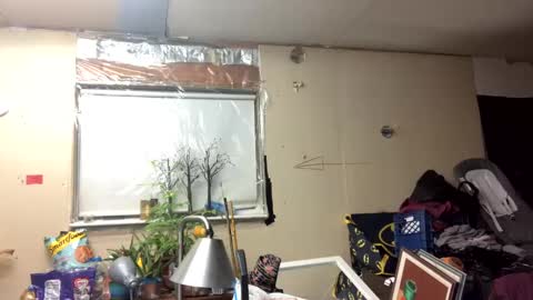 Shelby holes online show from 03-10-25, 11:42